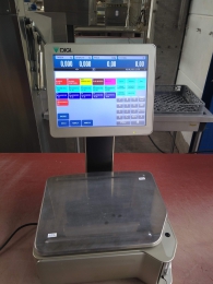 1 system scales Digi 
